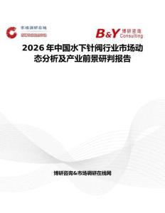 2026年中国水下针阀行业市场动态分析及产业前景研判报告