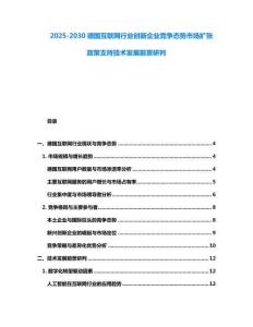 2025-2030德國(guó)互聯(lián)網(wǎng)行業(yè)創(chuàng)新企業(yè)競(jìng)爭(zhēng)態(tài)勢(shì)市場(chǎng)擴(kuò)張政策支持技術(shù)發(fā)展前景研判