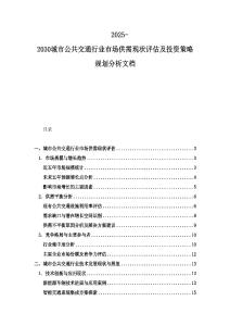 2025-2030城市公共交通行業(yè)市場供需現(xiàn)狀評估及投資策略規(guī)劃分析文檔