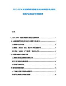 2025-2030武器弹药高科技制造业市场现状供需分析及投资评估规划分析研究报告