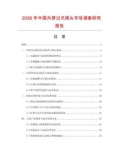 2026年中國外穿過式探頭市場調(diào)查研究報告