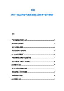 2025-2030廣告行業的客戶投放策略分析及新媒體平臺評估報告