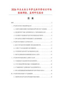 2026年及未来5年萨克斯吊带项目市场数据调查、监测研究报告