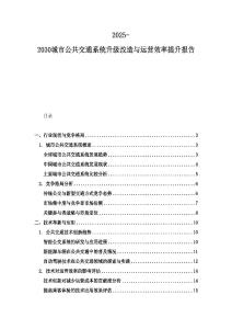 2025-2030城市公共交通系統(tǒng)升級改造與運營效率提升報告