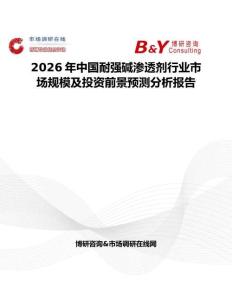 2026年中國耐強堿滲透劑行業(yè)市場規(guī)模及投資前景預(yù)測分析報告