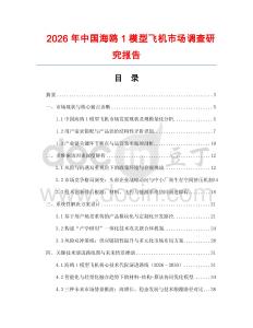 2026年中國(guó)海鷗1模型飛機(jī)市場(chǎng)調(diào)查研究報(bào)告