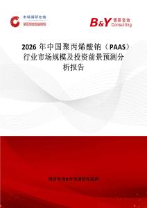 2026年中國聚丙烯酸鈉（PAAS）行業市場規模及投資前景預測分析報告
