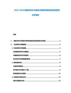 2025-2030磁懸浮列車關(guān)鍵技術(shù)瓶頸突破項(xiàng)目投資前景分析報(bào)告
