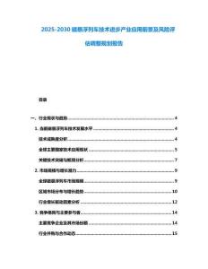 2025-2030磁懸浮列車技術(shù)進(jìn)步產(chǎn)業(yè)應(yīng)用前景及風(fēng)險(xiǎn)評(píng)估調(diào)整規(guī)劃報(bào)告
