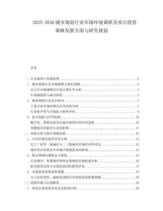 2025-2030城市規(guī)劃行業(yè)市場環(huán)境調(diào)研及項(xiàng)目投資策略發(fā)展全面與研究規(guī)劃