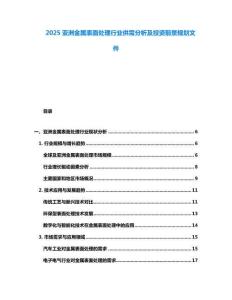 2025亞洲金屬表面處理行業(yè)供需分析及投資前景規(guī)劃文件