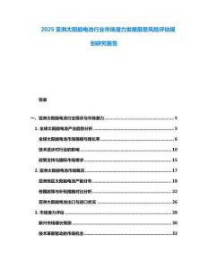 2025亞洲太陽能電池行業(yè)市場潛力發(fā)展前景風(fēng)險評估規(guī)劃研究報告