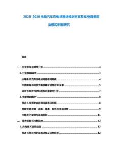2025-2030電動汽車充電樁網(wǎng)絡(luò)規(guī)劃方案及充電服務(wù)商業(yè)模式創(chuàng)新研究