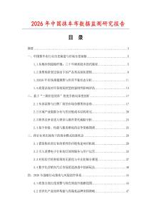 2026年中國抹車布數據監測研究報告