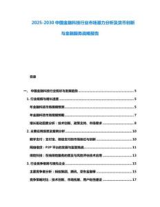 2025-2030中國金融科技行業市場潛力分析及貨幣創新與金融服務戰略報告