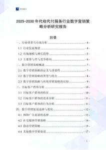 2025-2030年代收代付服務行業數字營銷策略分析研究報告