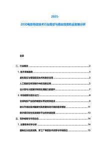 2025-2030电影特效技术行业现状与商业投资机会发展分析