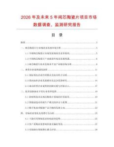 2026年及未來5年閥芯陶瓷片項目市場數據調查、監測研究報告