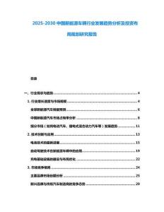 2025-2030中國新能源車輛行業發展趨勢分析及投資布局規劃研究報告