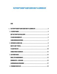 電子特種氣體國產(chǎn)化替代進程與客戶認證障礙分析