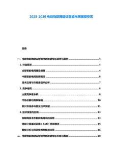 2025-2030電能物聯網建設智能電網展望專區
