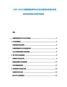 2025-2030中國跨境電商平臺行業市場現狀供需分析及投資評估規劃分析研究報告