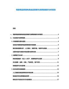 母嬰用品跨境電商選品策略與消費(fèi)者偏好分析報(bào)告