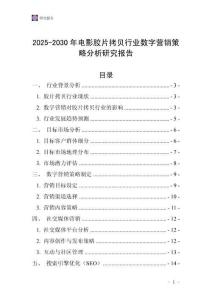 2025-2030年电影胶片拷贝行业数字营销策略分析研究报告