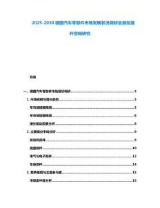 2025-2030德國(guó)汽車零部件市場(chǎng)發(fā)展?fàn)顩r調(diào)研及潛在提升空間研究