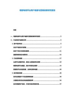 母嬰電商平臺用戶畫像與營銷創新研究報告