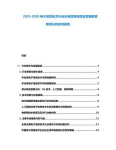 2025-2030電子信息技術(shù)行業(yè)市場(chǎng)競(jìng)爭(zhēng)格局及發(fā)展前景預(yù)測(cè)分析研究報(bào)告