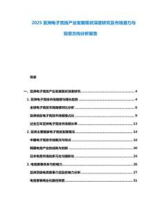 2025亞洲電子競(jìng)技產(chǎn)業(yè)發(fā)展現(xiàn)狀深度研究及市場(chǎng)潛力與投資方向分析報(bào)告
