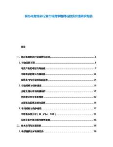 民辦電競培訓行業市場競爭格局與投資價值研究報告