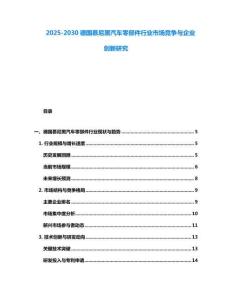 2025-2030德國慕尼黑汽車零部件行業(yè)市場(chǎng)競(jìng)爭(zhēng)與企業(yè)創(chuàng)新研究
