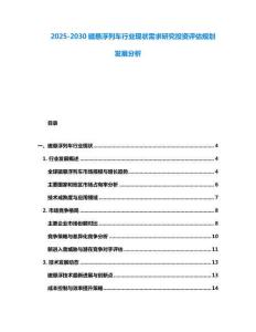 2025-2030磁懸浮列車行業(yè)現(xiàn)狀需求研究投資評估規(guī)劃發(fā)展分析