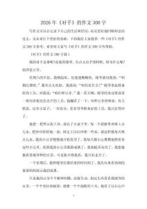 2026年《對(duì)手》的作文300字