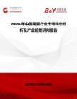 2026年中國尾翼行業市場動態分析及產業前景研判報告