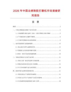 2026年中国去锈除胶打磨机市场调查研究报告