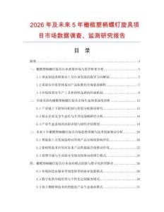 2026年及未來5年橄欖塑柄螺釘旋具項目市場數據調查、監測研究報告