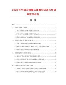 2026年中國亥姆霍茲線圈電流源市場調查研究報告