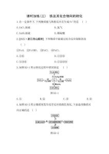 課時(shí)加練3　鐵及其化合物間的轉(zhuǎn)化 【正文】