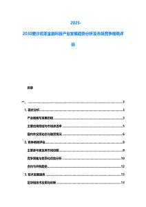 2025-2030愛沙尼亞金融科技產(chǎn)業(yè)發(fā)展趨勢分析及市場競爭格局評估