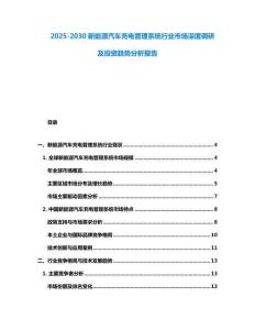 2025-2030新能源汽車充電管理系統(tǒng)行業(yè)市場深度調(diào)研及投資趨勢分析報(bào)告