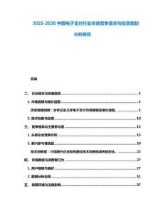 2025-2030中国电子支付行业市场竞争现状与投资规划分析报告