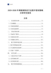 2025-2030年草酸鑭鈰鋱行業數字營銷策略分析研究報告