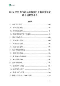 2025-2030年飞机起降服务行业数字营销策略分析研究报告
