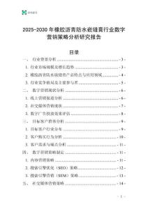 2025-2030年橡胶沥青防水嵌缝膏行业数字营销策略分析研究报告