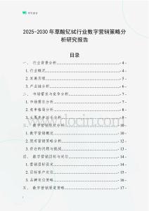 2025-2030年草酸釔鋱行業數字營銷策略分析研究報告