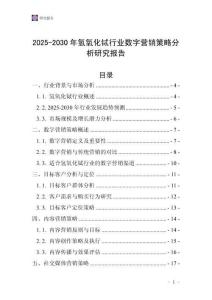 2025-2030年氫氧化鋱行業數字營銷策略分析研究報告