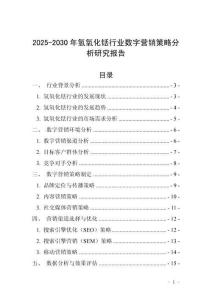 2025-2030年氫氧化銩行業數字營銷策略分析研究報告